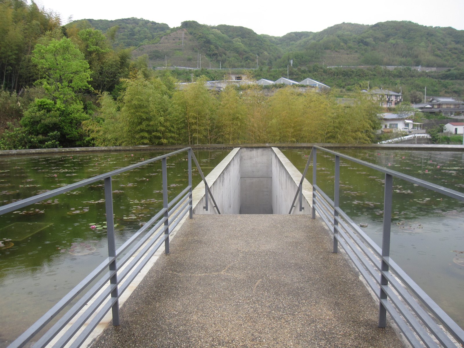 本福寺水御堂：階梯從橢圓形蓮花池正中央切開，往下通往地下本堂