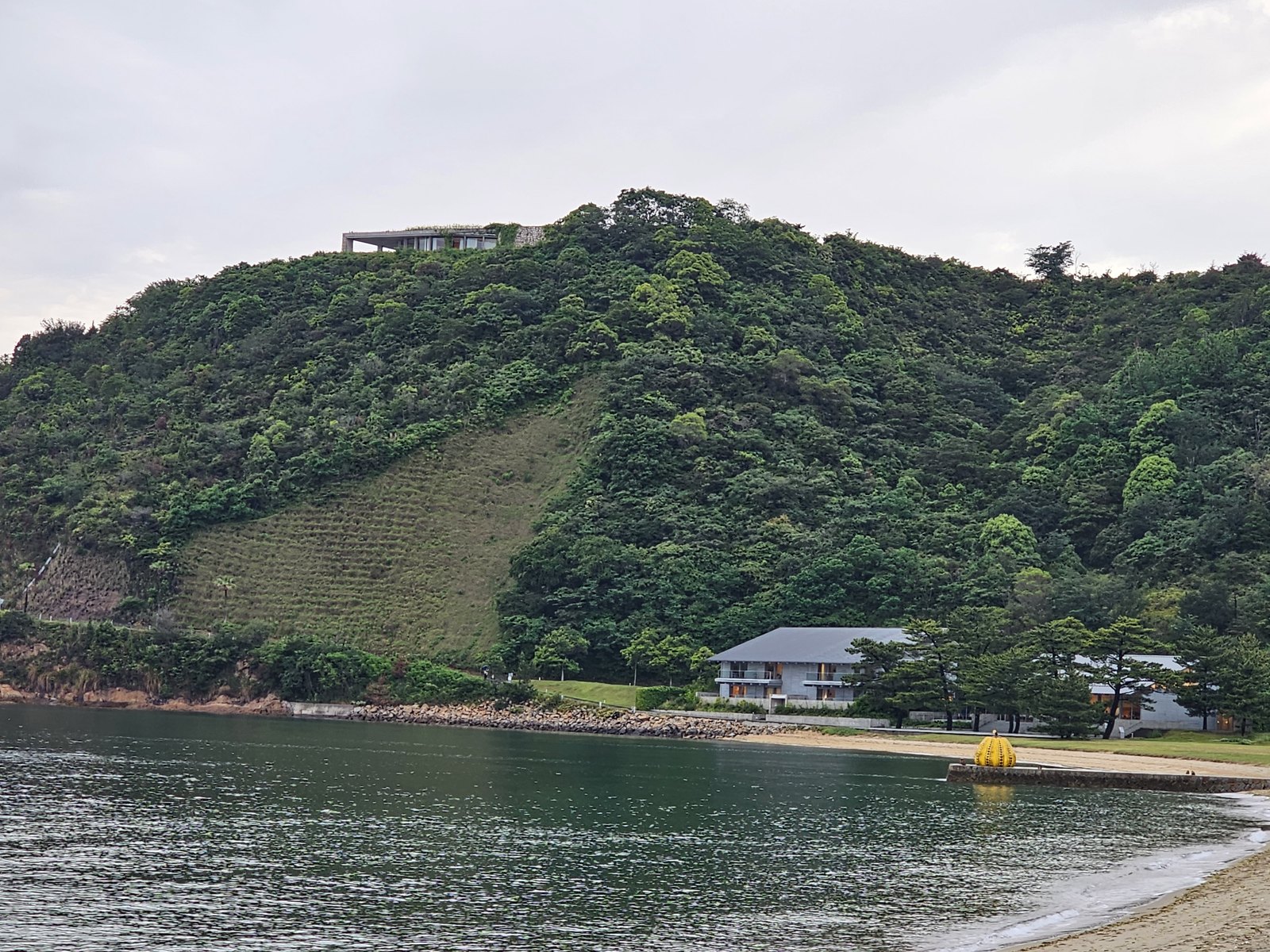從海上看直島,山坡上幾乎看不到建築量體