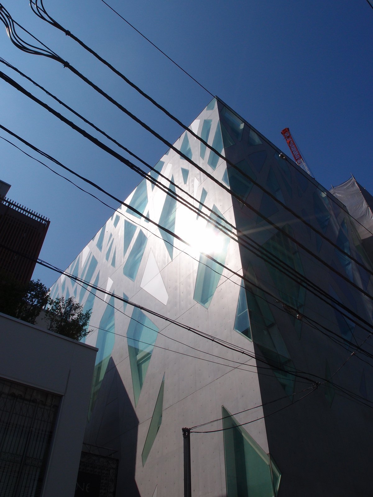 TOD'S 表參道大樓的清水混凝土立面，樹枝狀的結構之間夾著玻璃