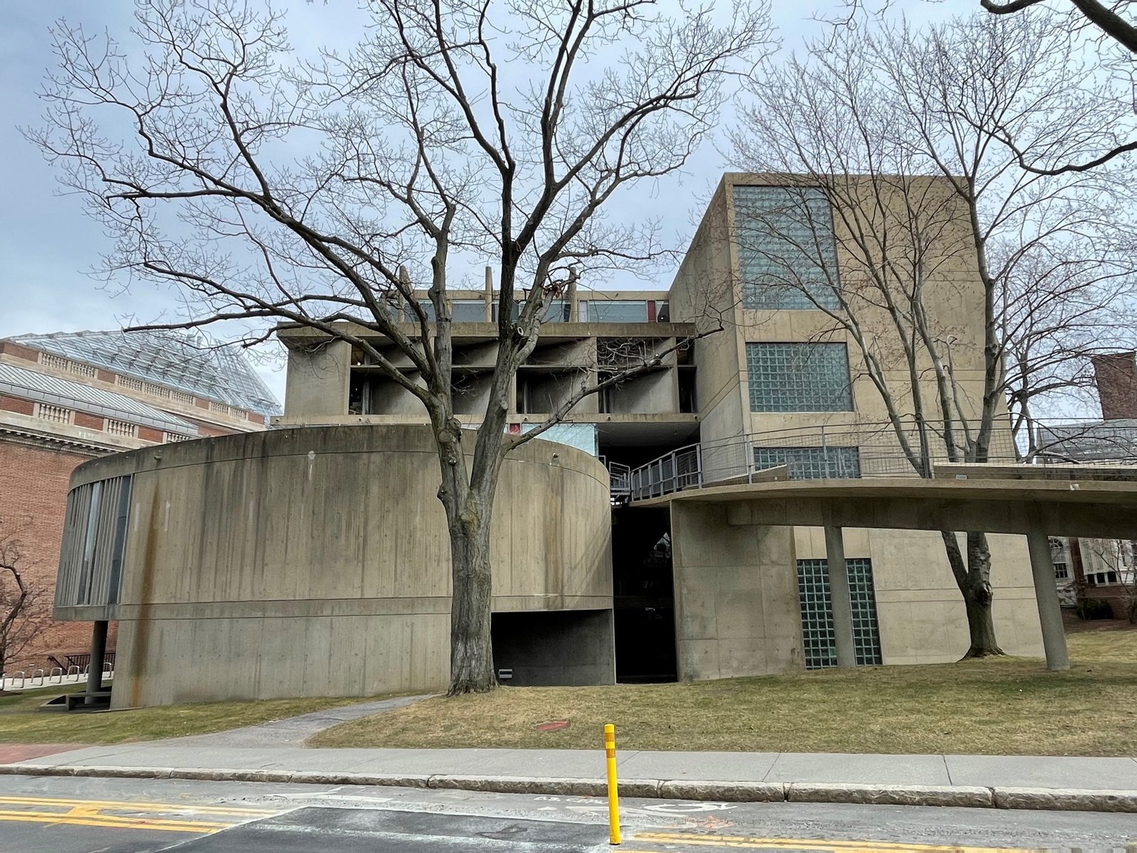 哈佛大學卡本特視覺藝術中心東側外觀，S 形坡道穿入建築量體