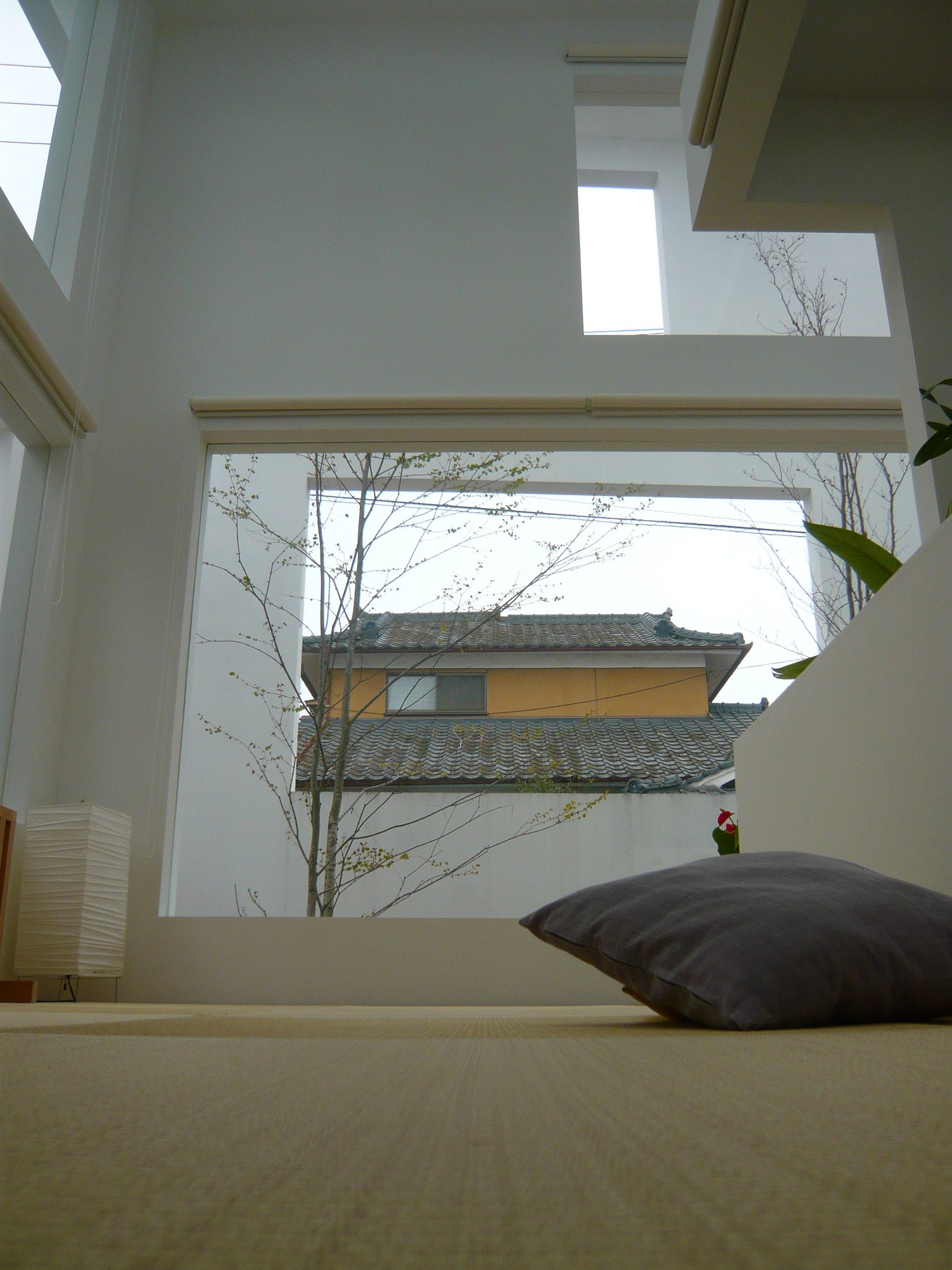 House N 室內往外看，玻璃開口外是種了樹的庭，再往外是最外層白色殼的開口
