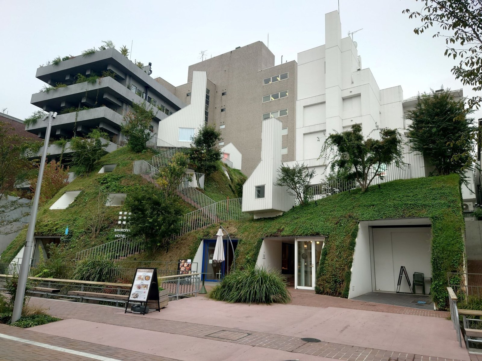 白井屋酒店的綠丘一側，長滿草的斜坡上有斜切的客房開口，坡頂有白色山形小屋